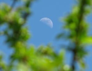 Blue, Moon, Green, Fresh, Half Moon, Sky, nature, beauty in nature thumbnail