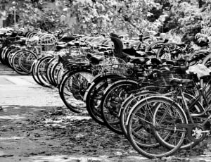 gray scale photo of bicycle lot thumbnail