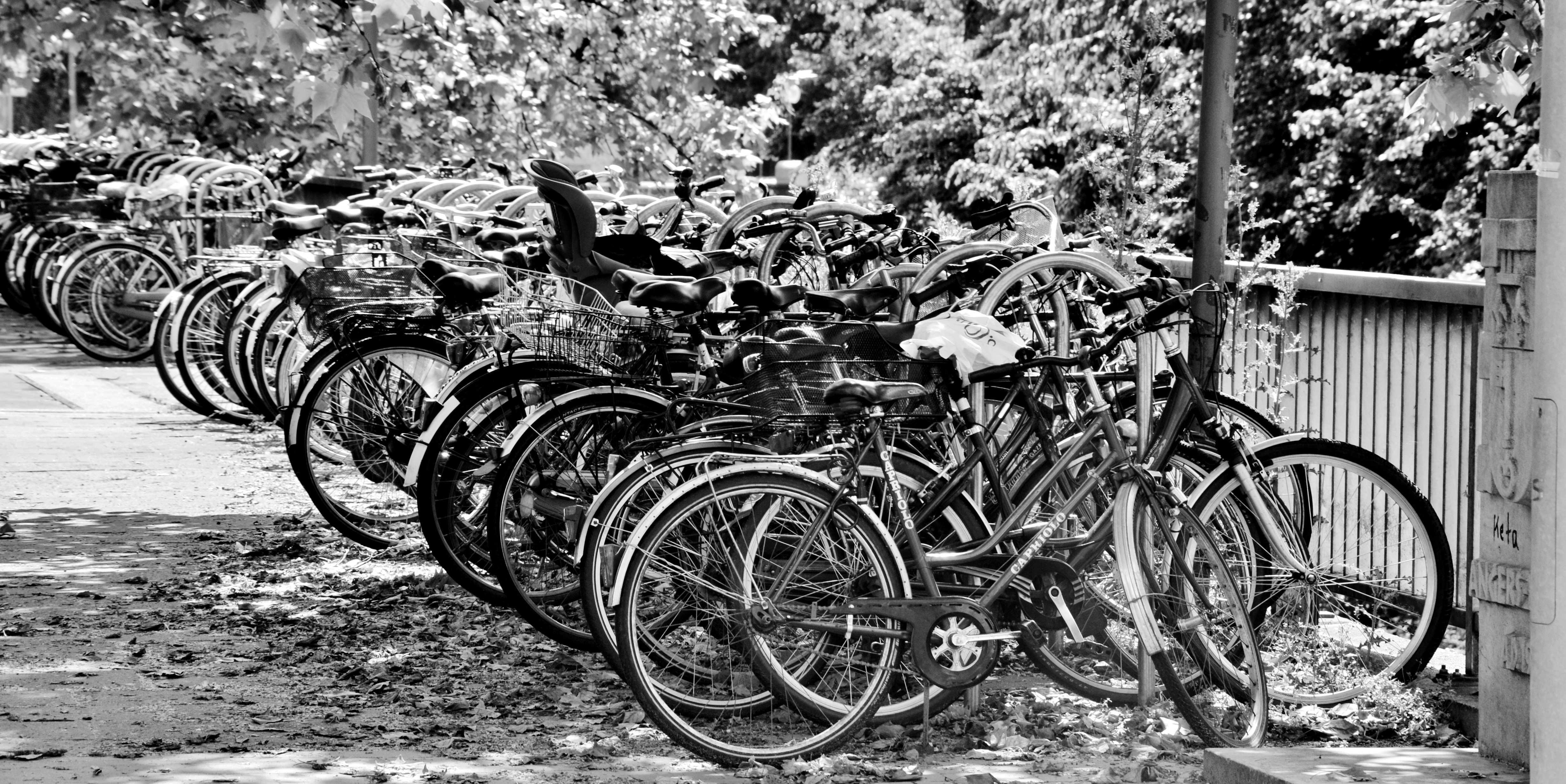 gray scale photo of bicycle lot