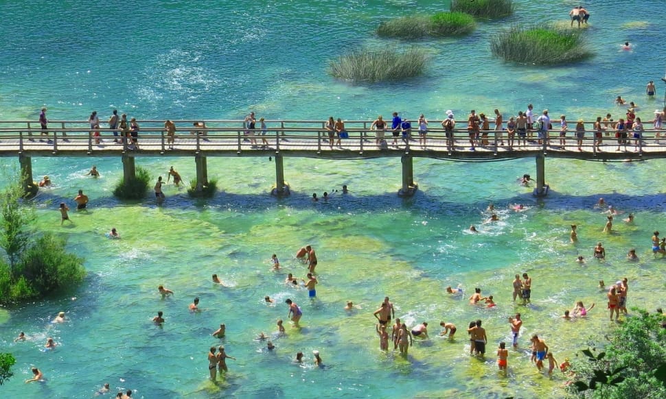 group of people in body of water near bridge preview