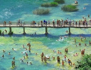 group of people in body of water near bridge thumbnail