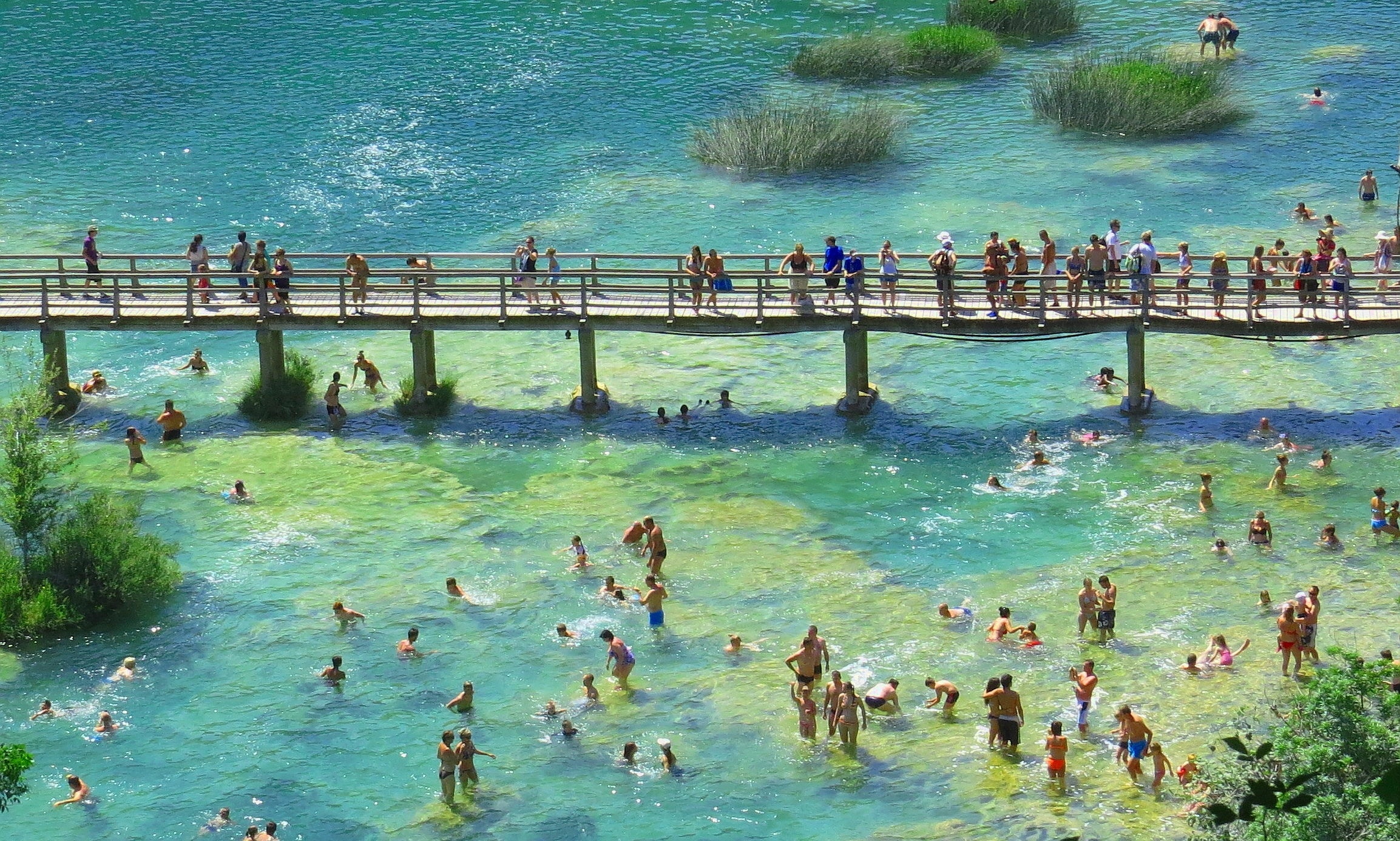group of people in body of water near bridge