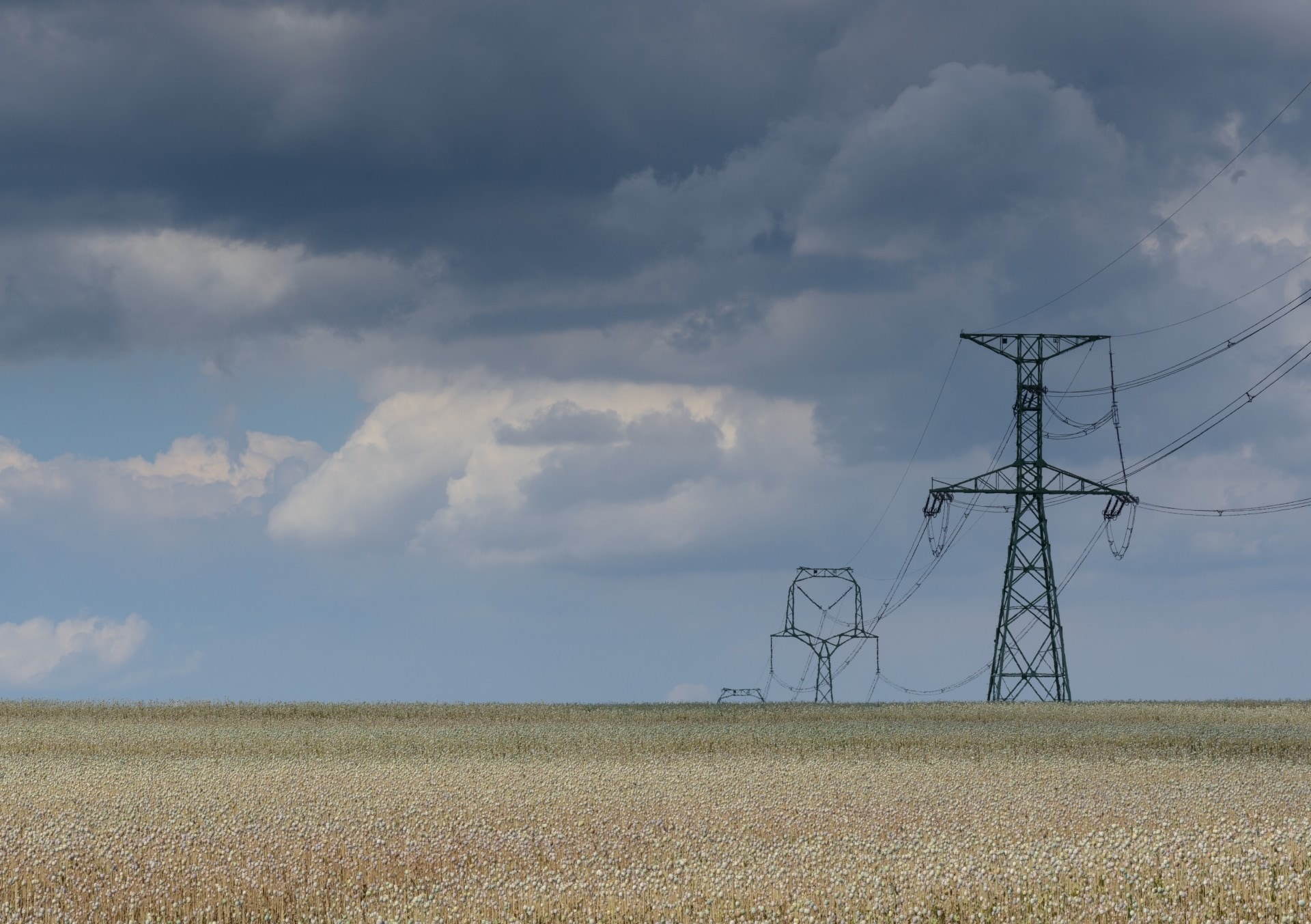 black antenna tower on the middle of wheat field
