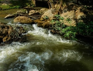river surrounded with stones and green leaf trees during daytime thumbnail