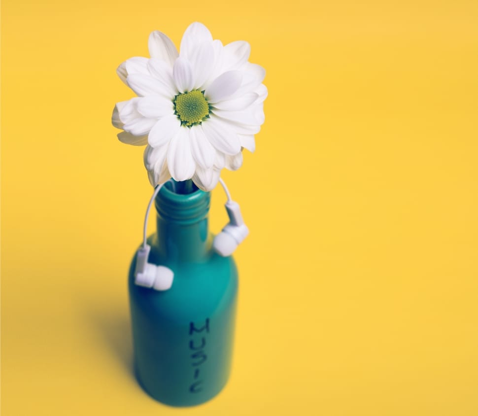 white petaled flower in green bottle and white earphones preview