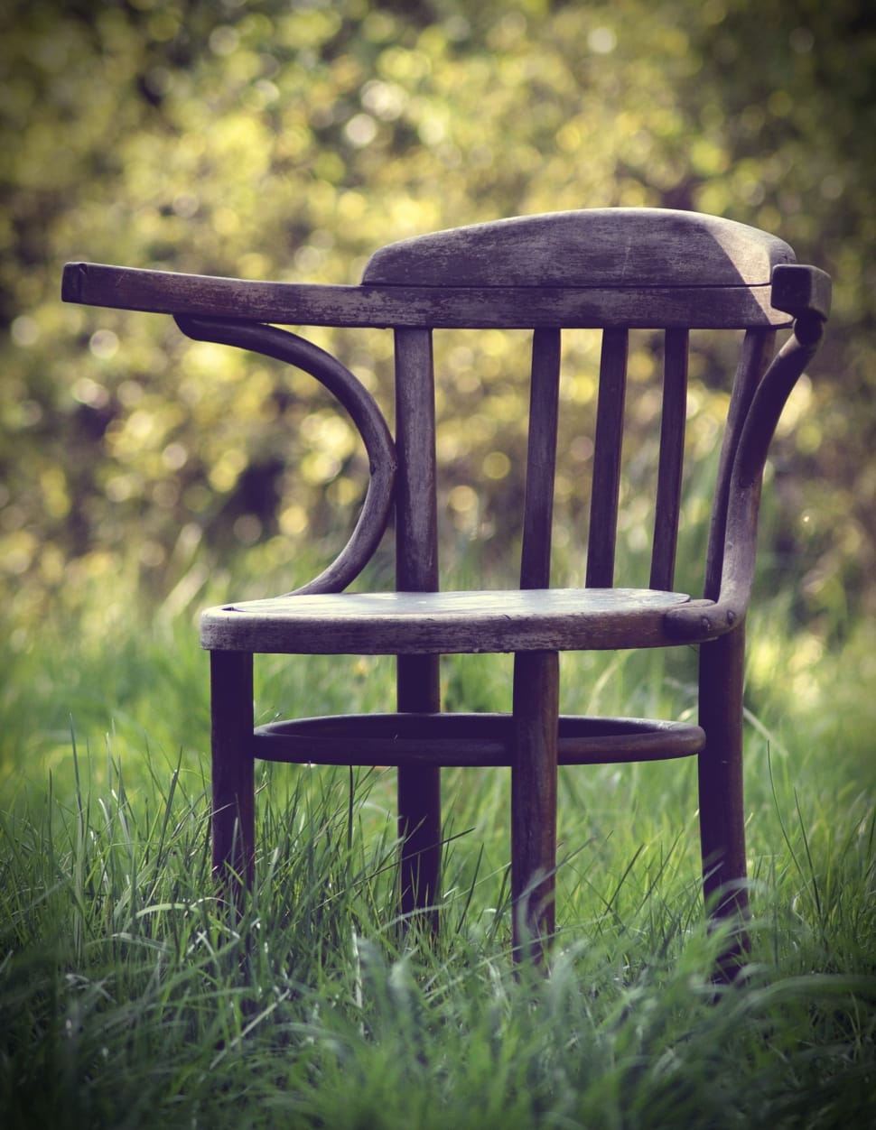 brown wooden armchair on lawn preview