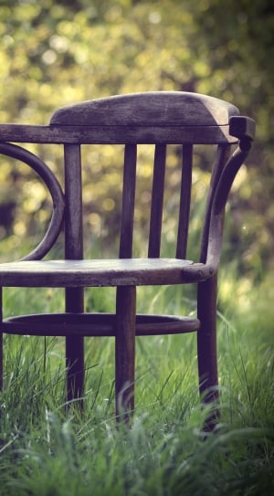 brown wooden armchair on lawn thumbnail