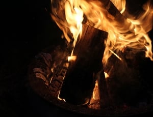 burned firewood thumbnail