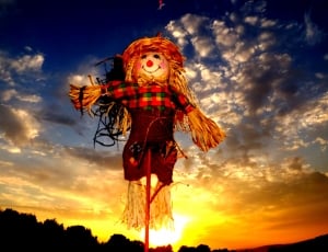 scare crow doll in red and green plaid shirt thumbnail