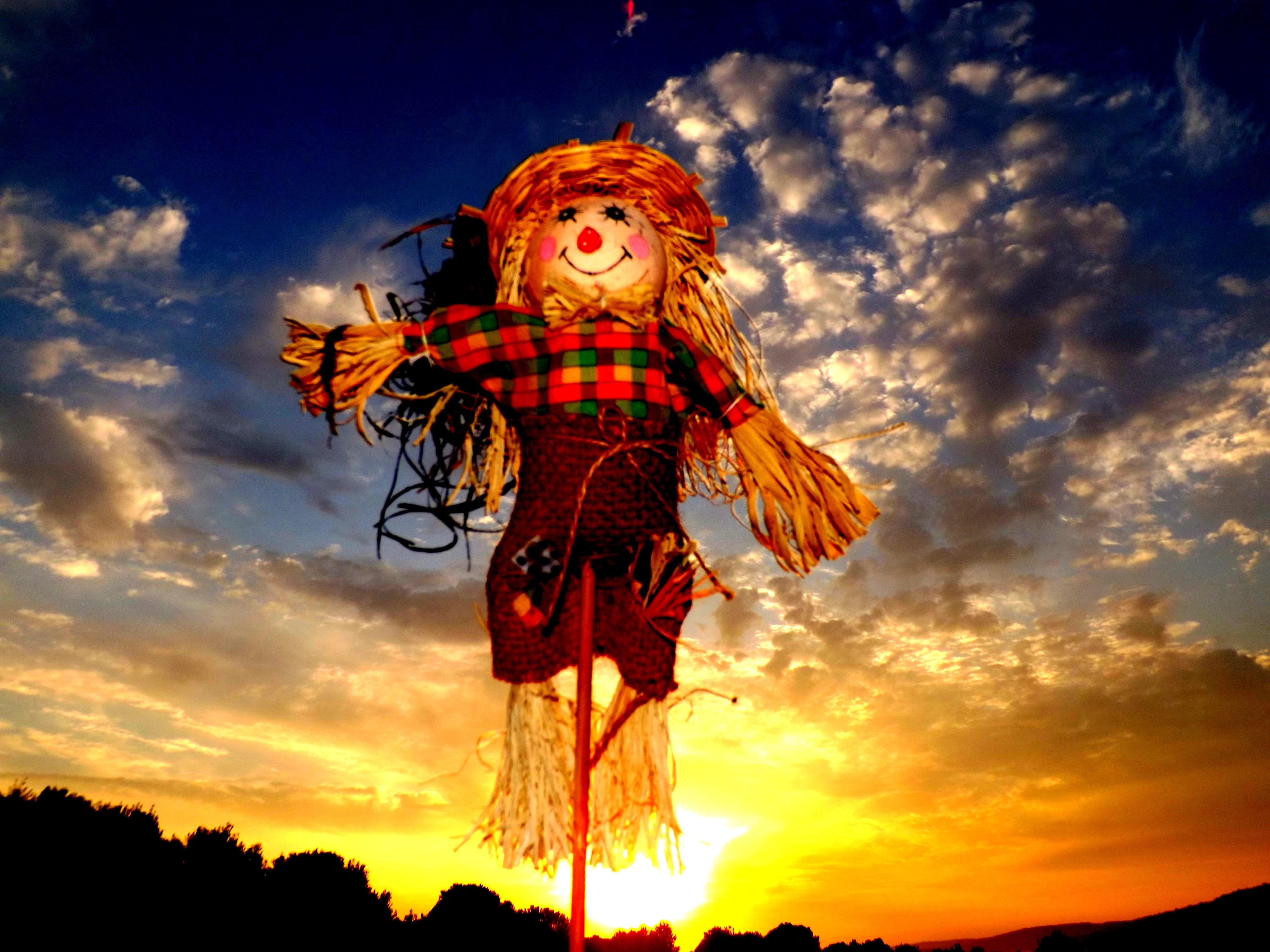 scare crow doll in red and green plaid shirt