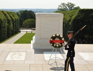 Dc, Unknown Soldier, tree, day thumbnail