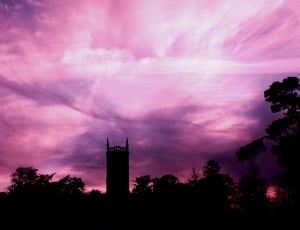 silhouette of high tower and tall trees thumbnail