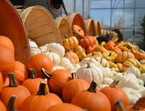 Decoration, Orange, Gourds, Fall, Autumn, pumpkin, halloween thumbnail