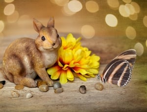 Flower, Easter Bunny, Hare, Dekohase, one animal, animal themes thumbnail
