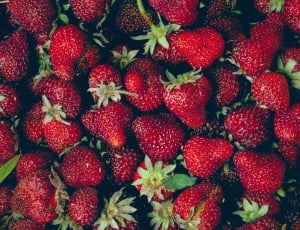 pack of strawberries thumbnail