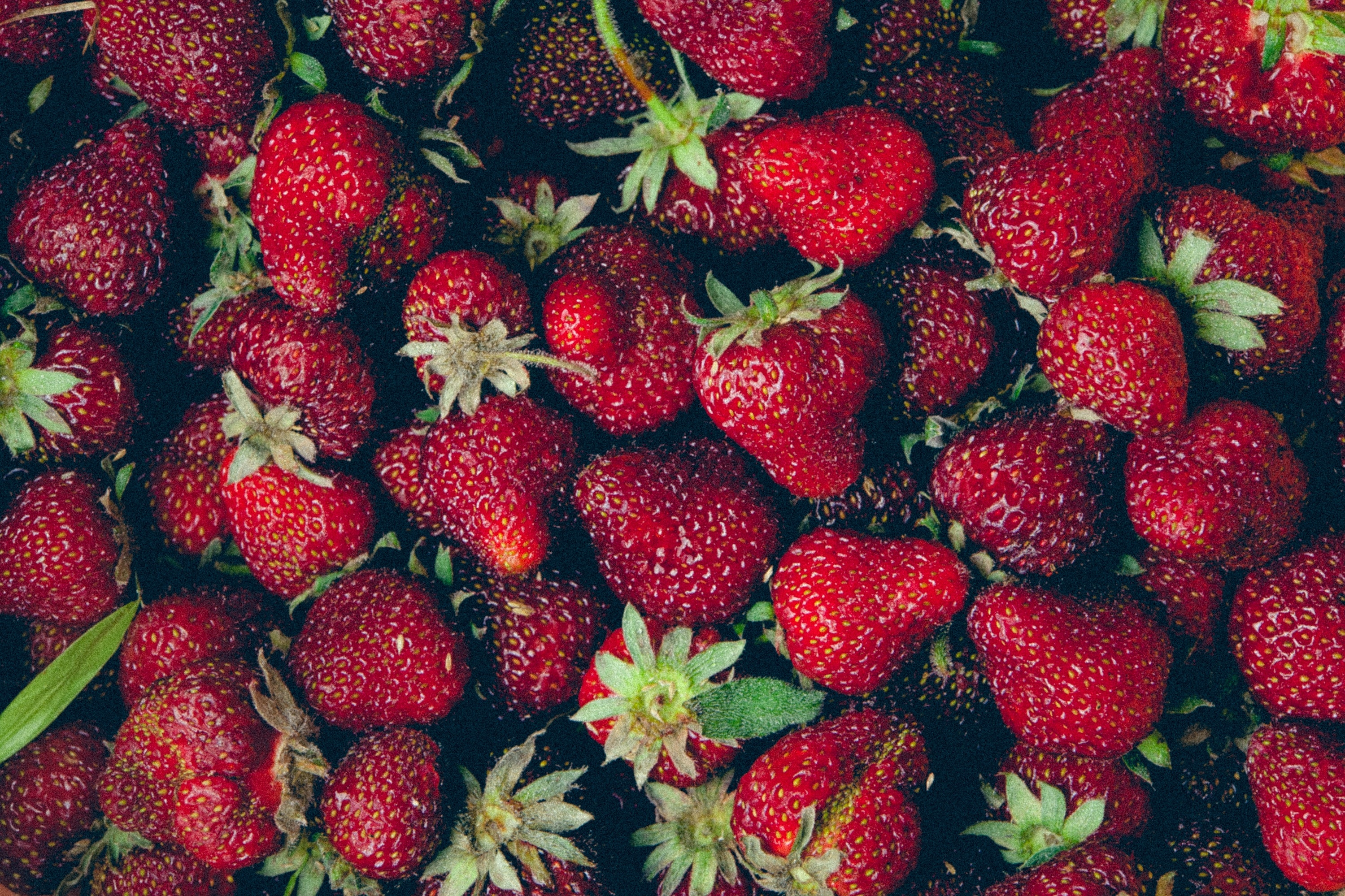 pack of strawberries