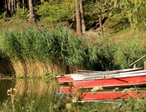 red and white wooden boat thumbnail