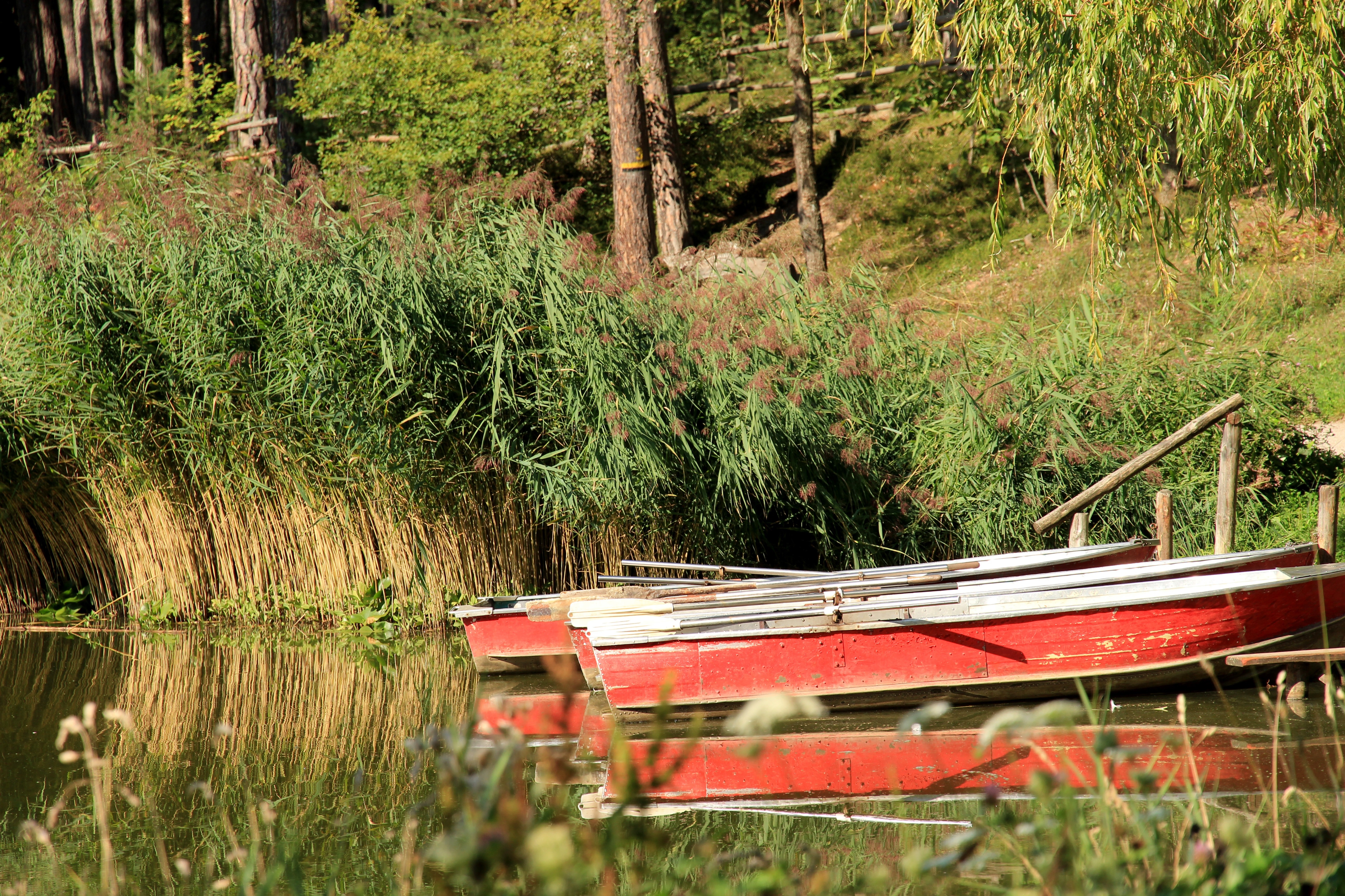 red and white wooden boat