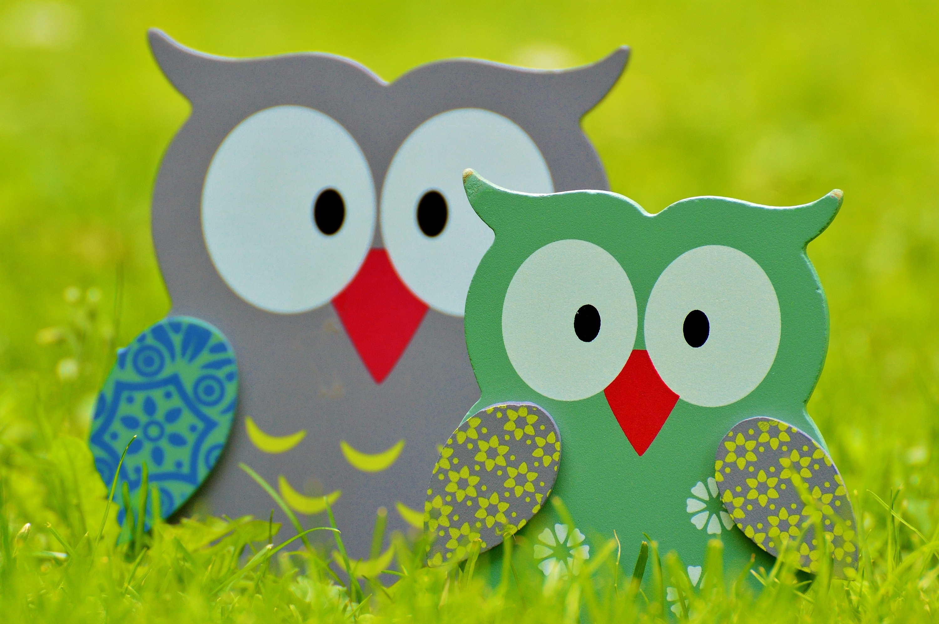 Wood, Fig, Owls, Deco, Decoration, Cute, grass, no people