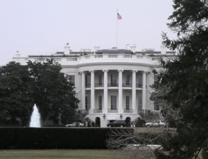 white house thumbnail
