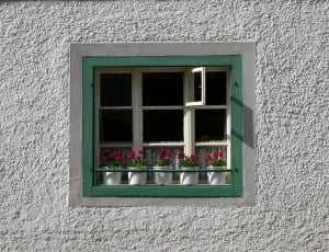 white and green window panel thumbnail