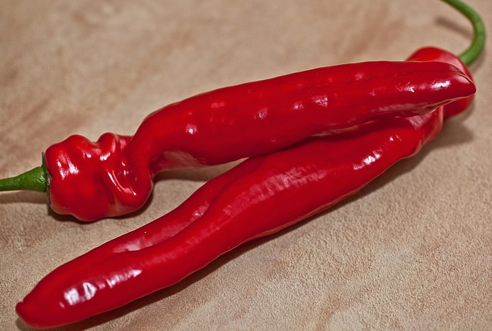 red chili pepper preview