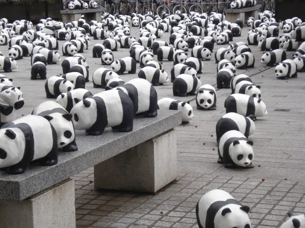 Exhibition, Pandas, Miniature, Bears, in a row, no people preview