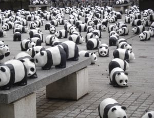 Exhibition, Pandas, Miniature, Bears, in a row, no people thumbnail