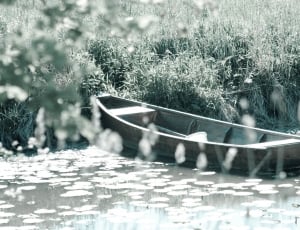 brown wooden boat on river beside green grass thumbnail