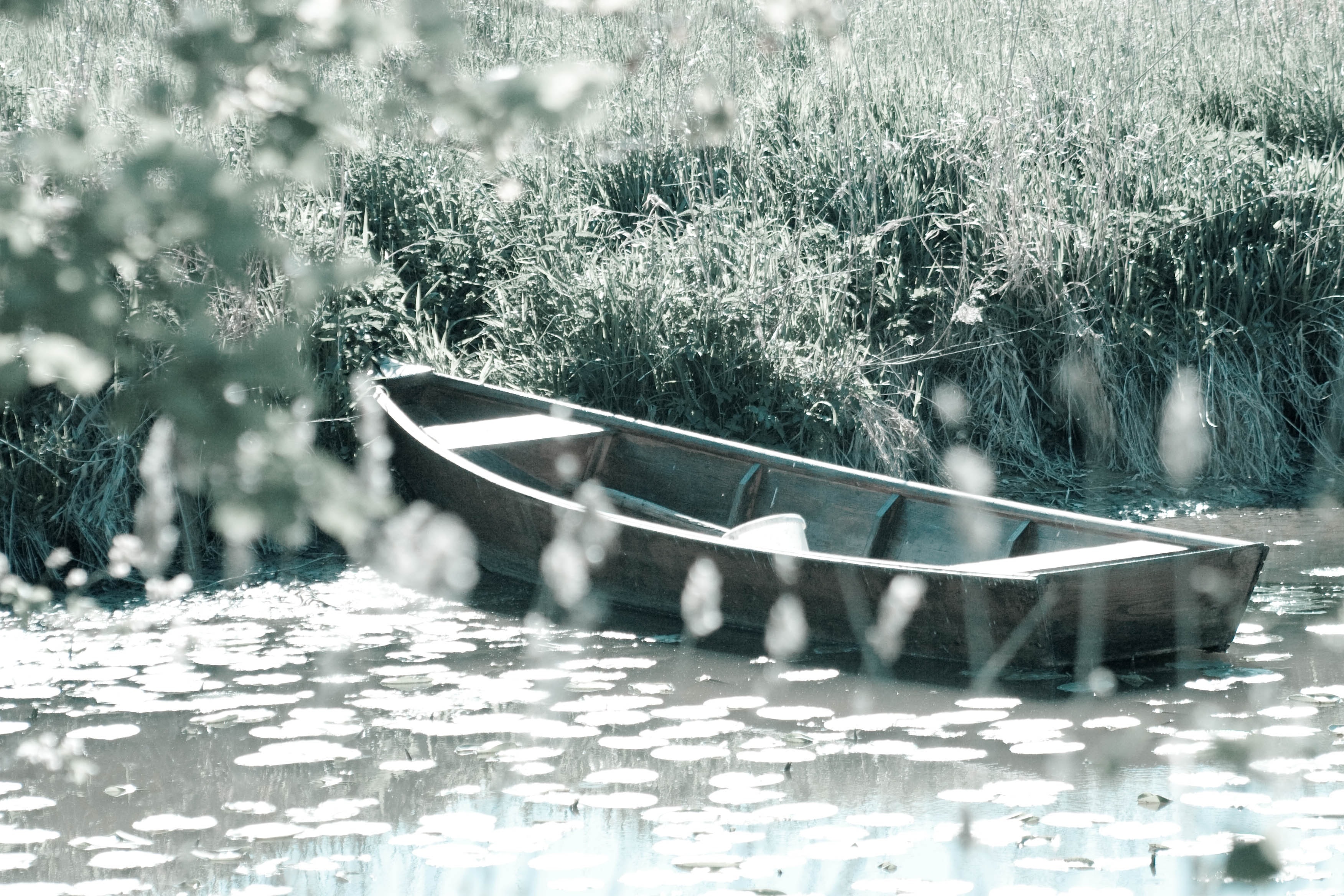 brown wooden boat on river beside green grass