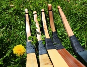five brown hockey sticks in grass field thumbnail