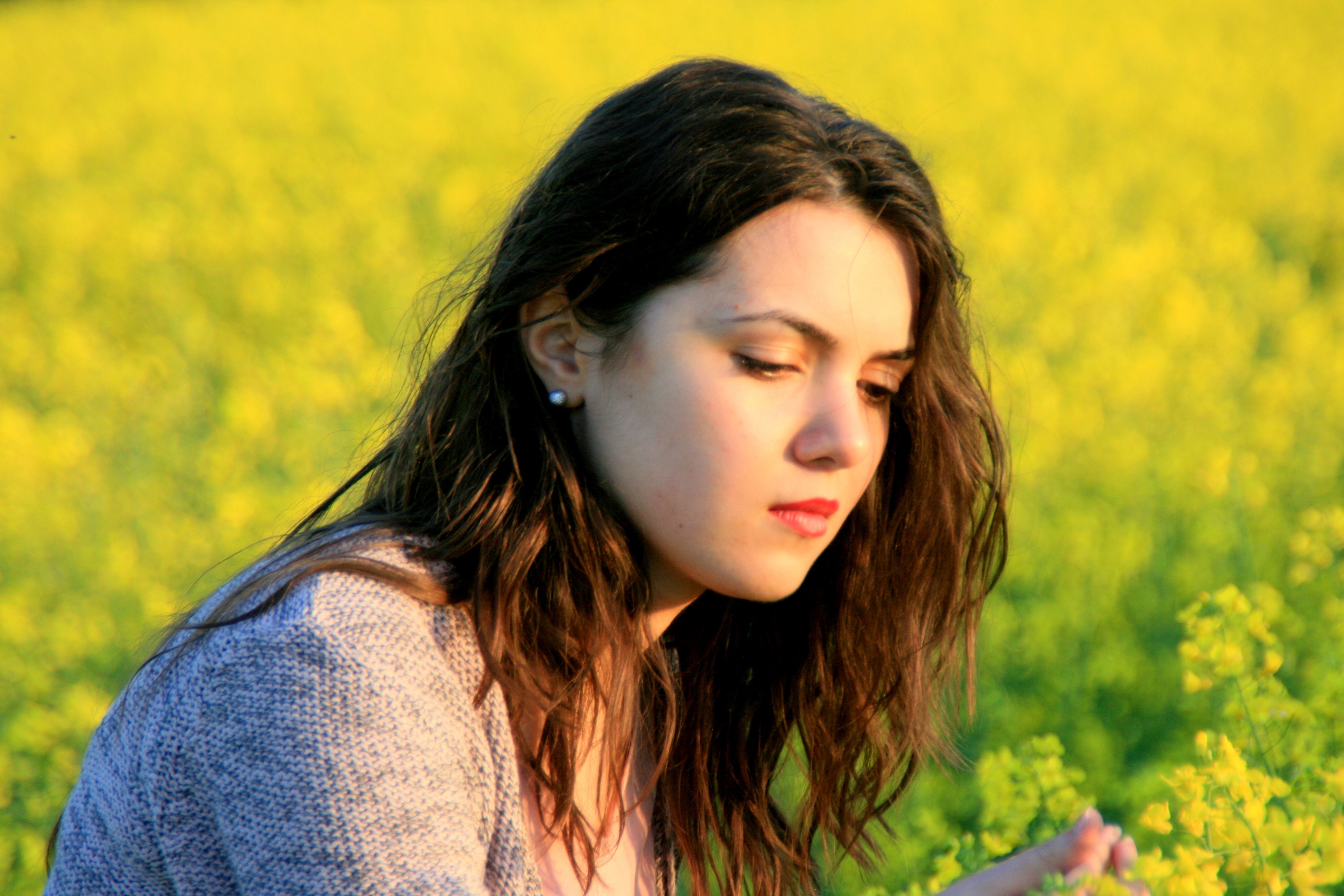 woman in gray shirt sitting on yellow flower fields at daytime