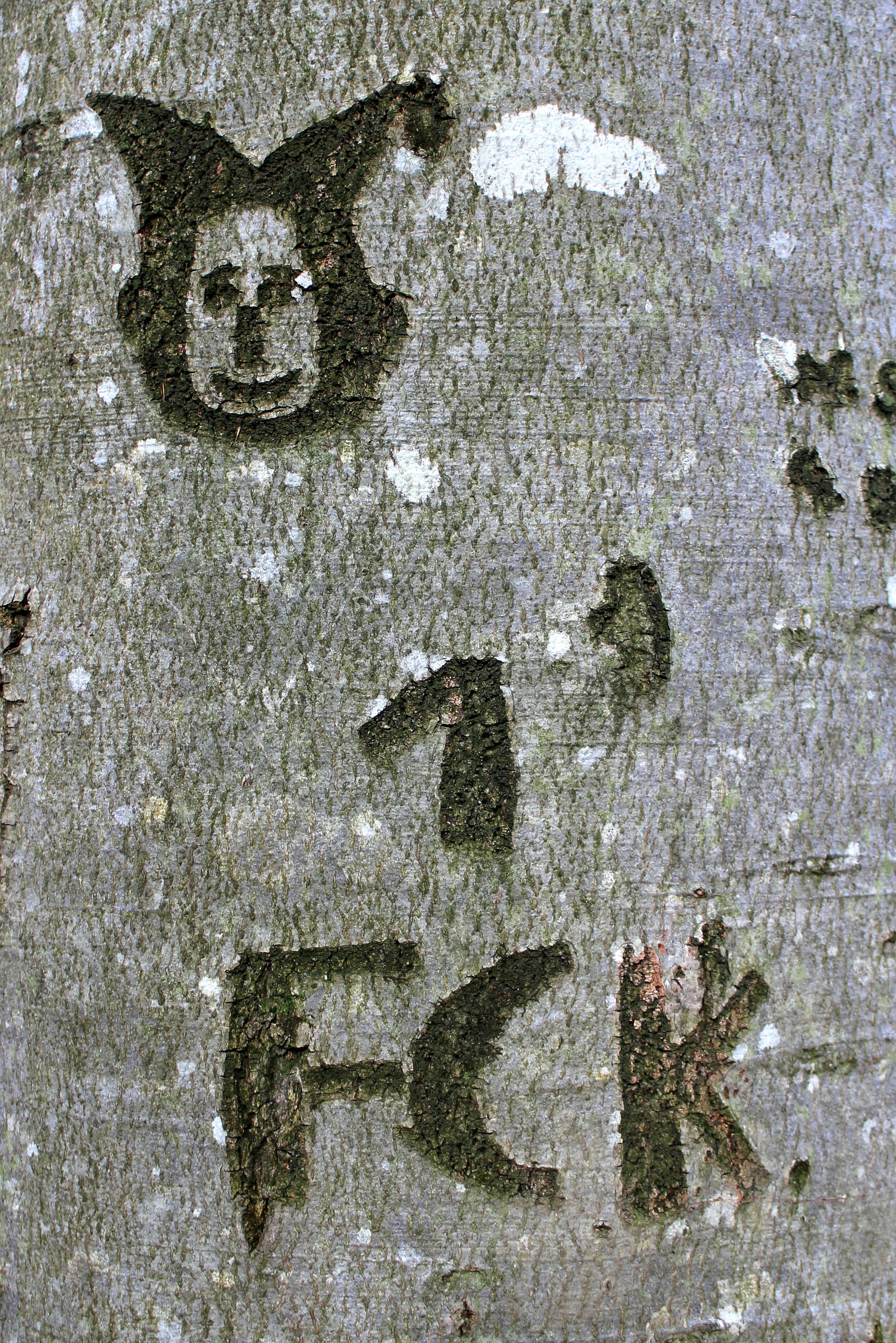Symbol, Name, Carved, Tree, Engraved, architecture, built structure