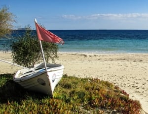 Ayia Napa, Cyprus, Makronissos Beach, flag, patriotism thumbnail