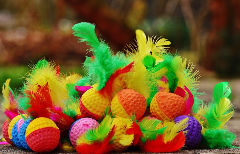 Foam Balls, Colorful, Cat, Toys, Feather, multi colored, fruit preview