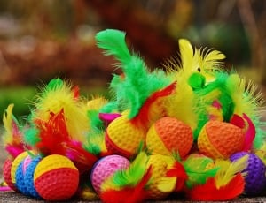 Foam Balls, Colorful, Cat, Toys, Feather, multi colored, fruit thumbnail