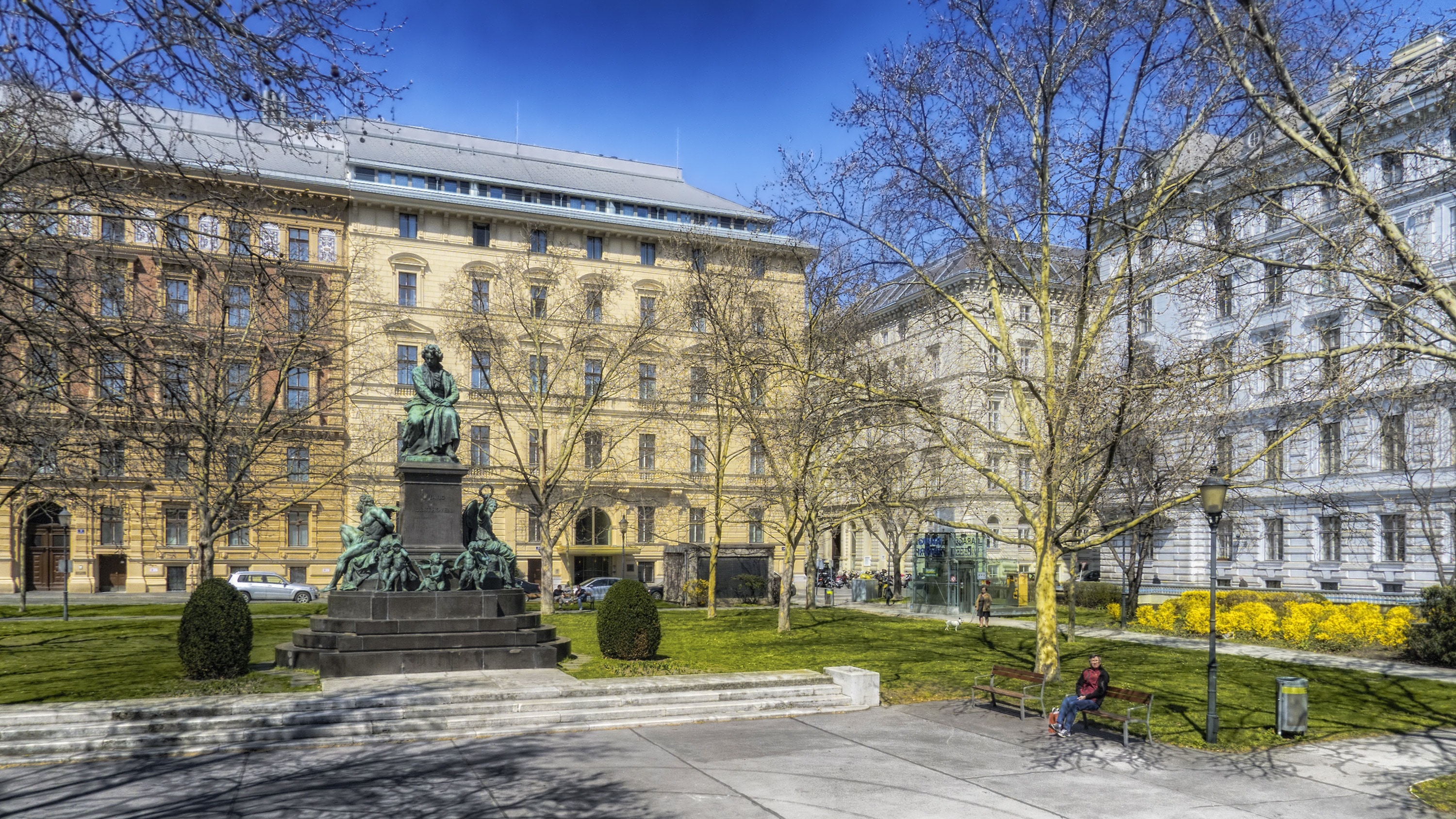 Austria, Vienna, Beethoven Plaza, bare tree, tree