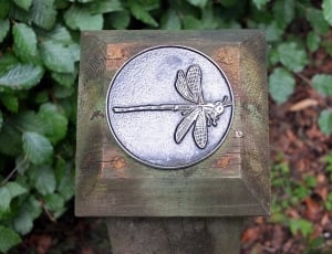 dragonfly decor thumbnail