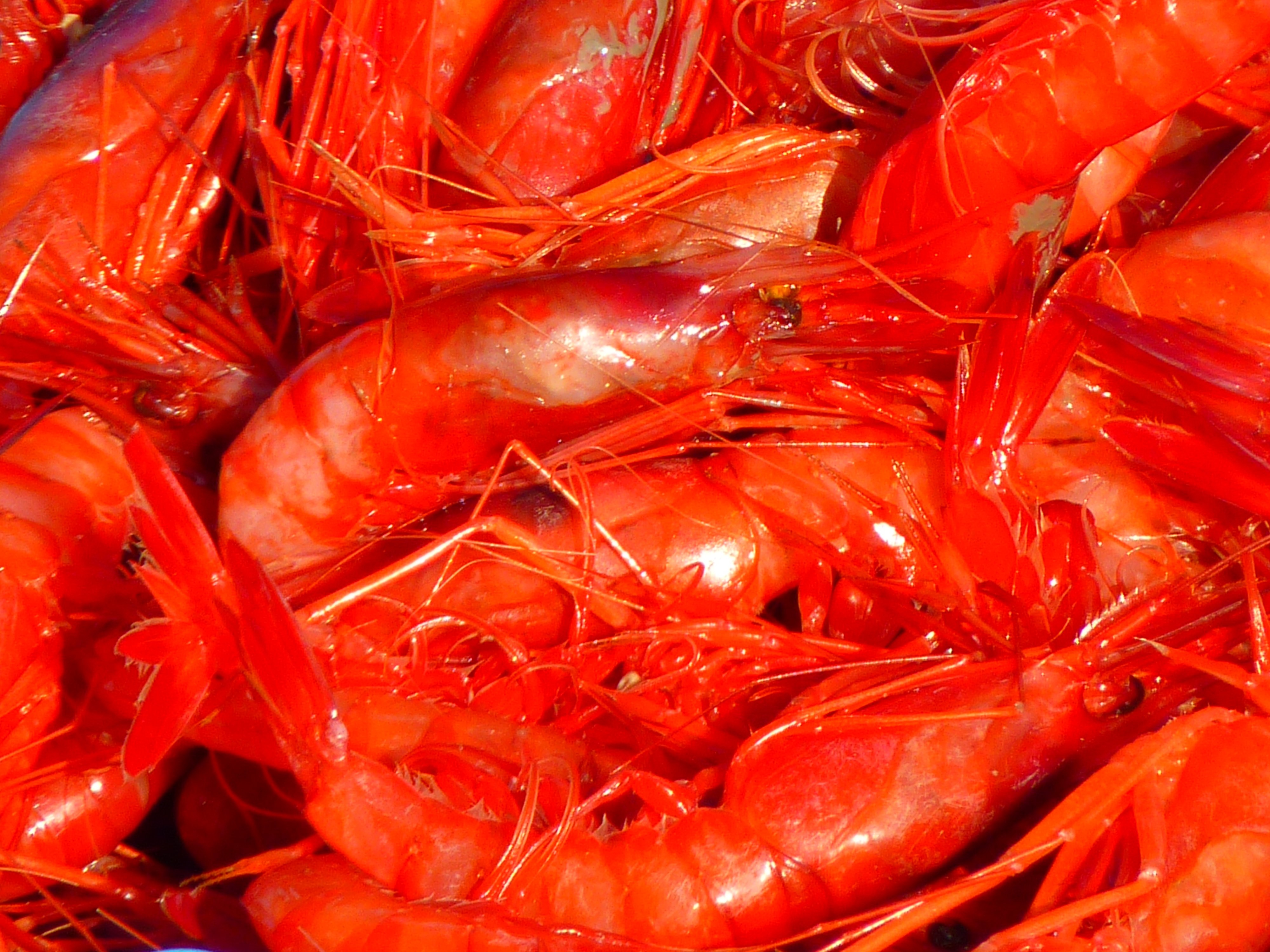photo of cooked shrimps