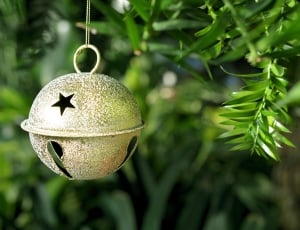 Decoration, Tree, Christmas, Ornament, fruit, hanging thumbnail