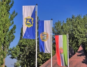 Hungary, Flags, City, Sarvas, tree, flag thumbnail