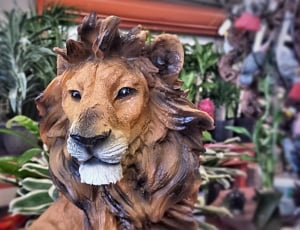 brown lion ceramic figurine in selective photography thumbnail