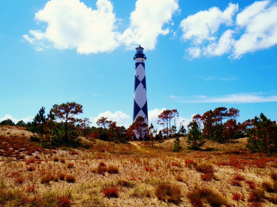 lighthouse surrounded by trees at day time preview
