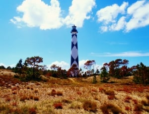 lighthouse surrounded by trees at day time thumbnail