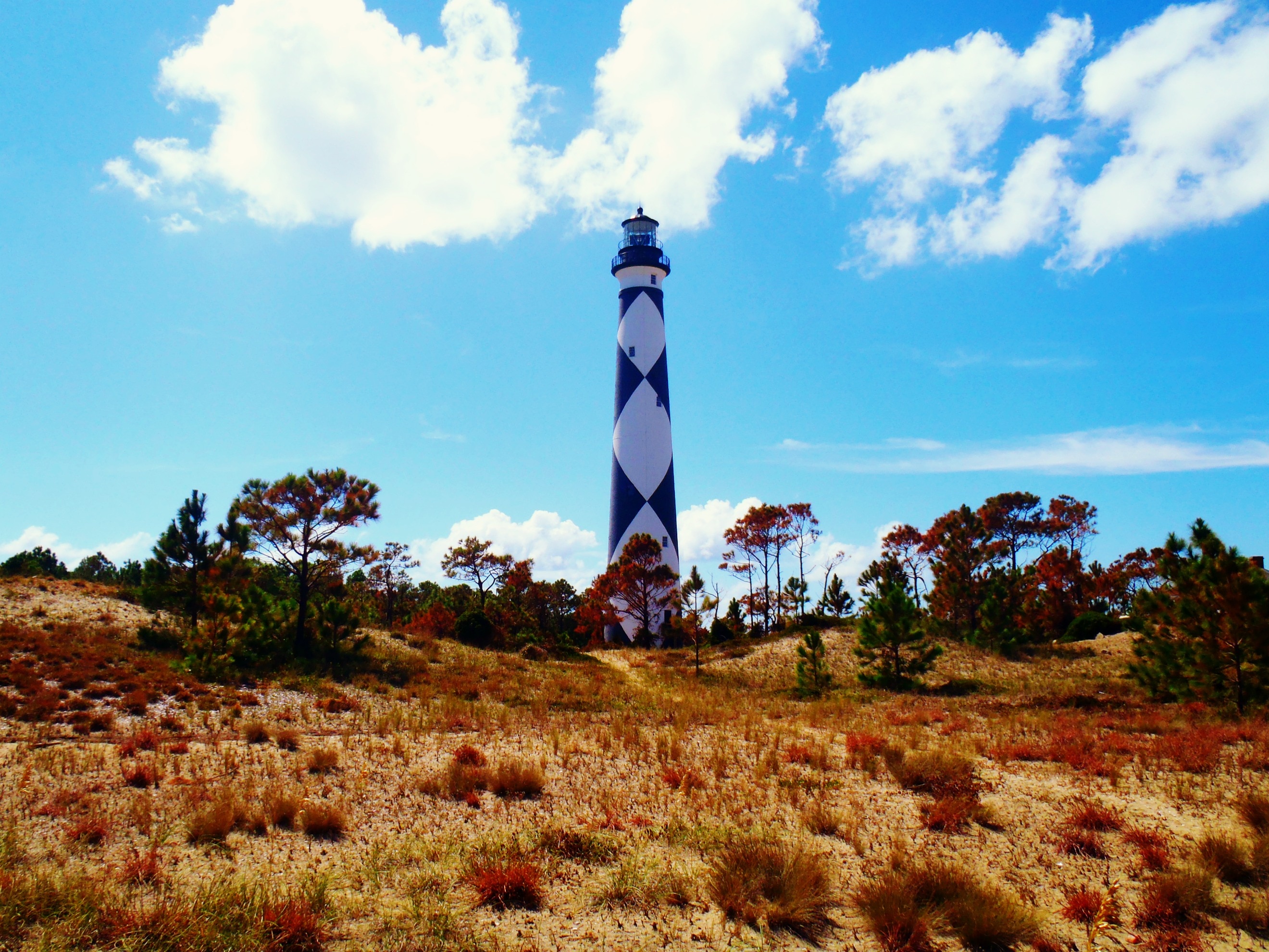 lighthouse surrounded by trees at day time