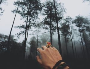 person with floral ring near trees photo thumbnail