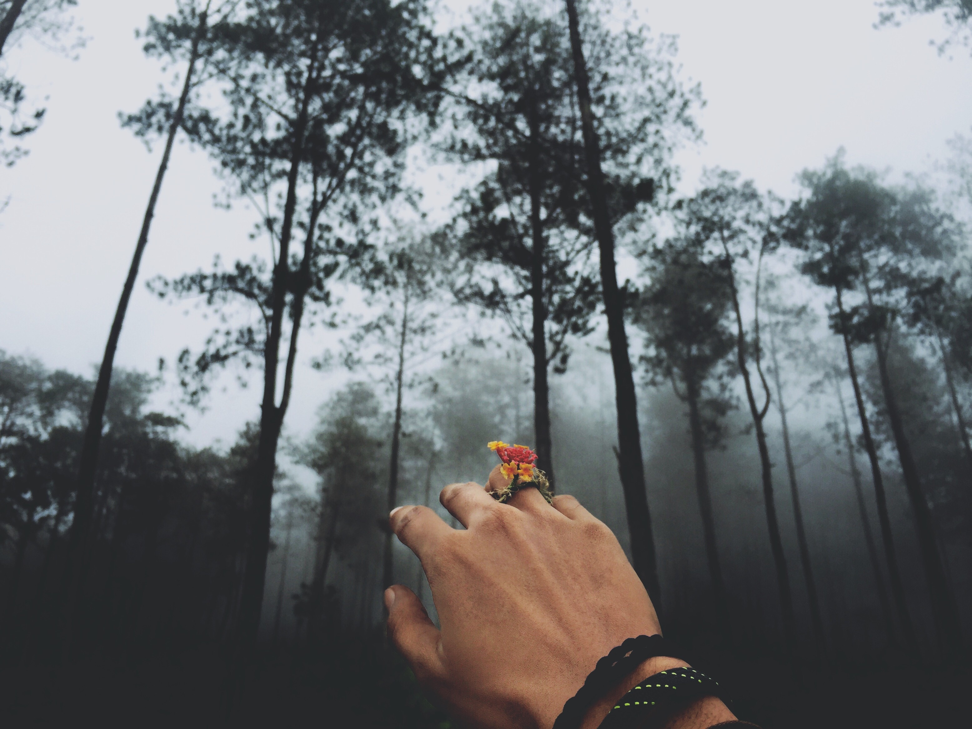 person with floral ring near trees photo