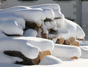 snow covered fire wood thumbnail