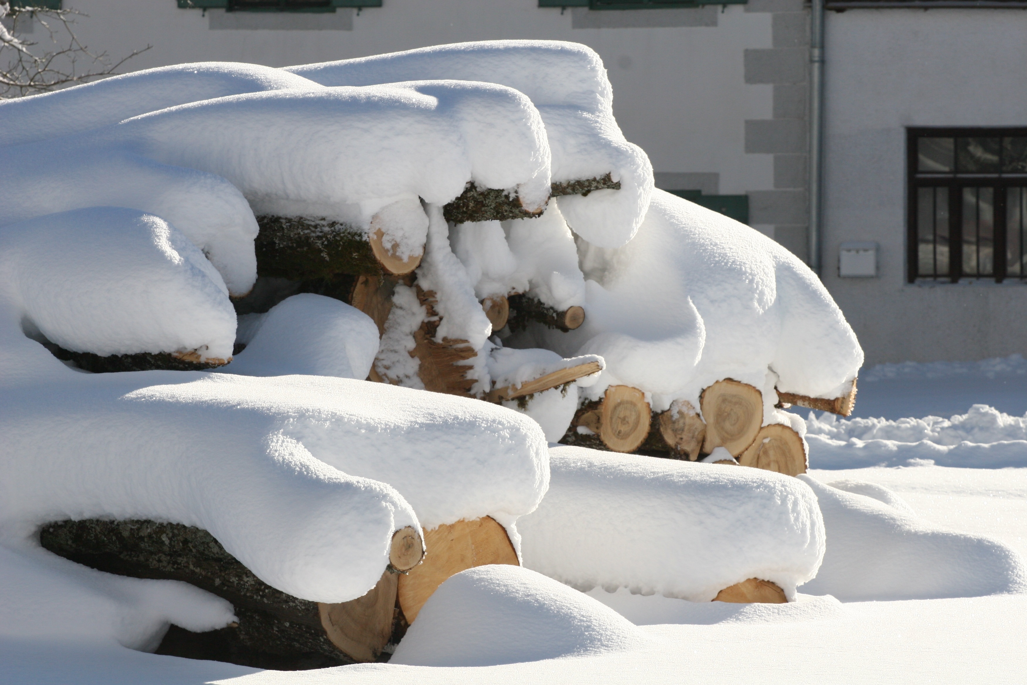 snow covered fire wood