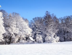 Landscape, Wintry, Snow, Cold, Winter, cold temperature, winter thumbnail